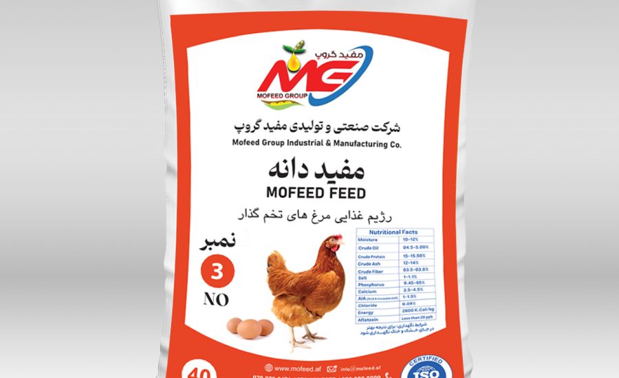 Mofeed Feed #3 – Layer Feed