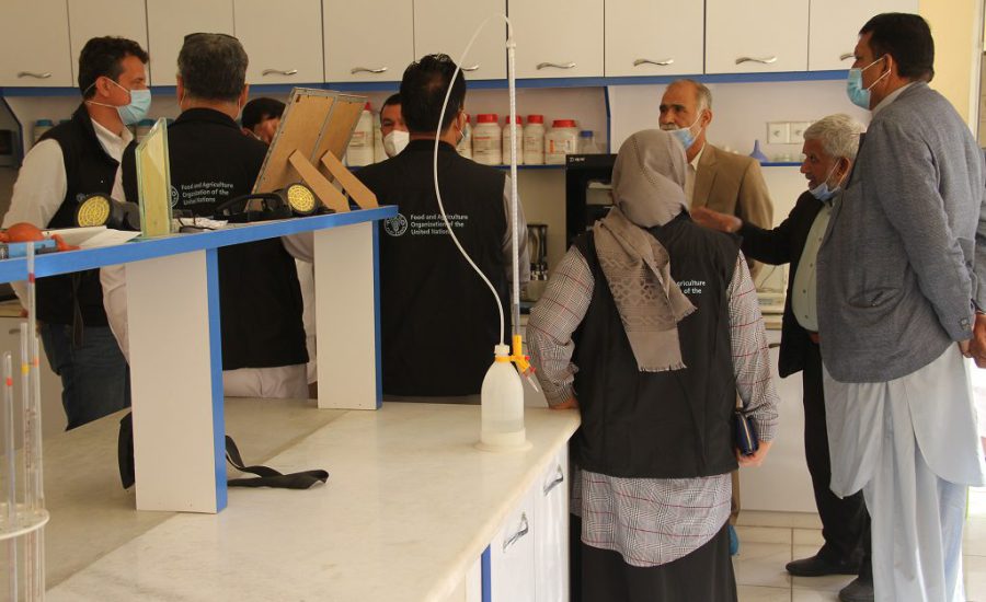 Opening Ceremony of Laboratory