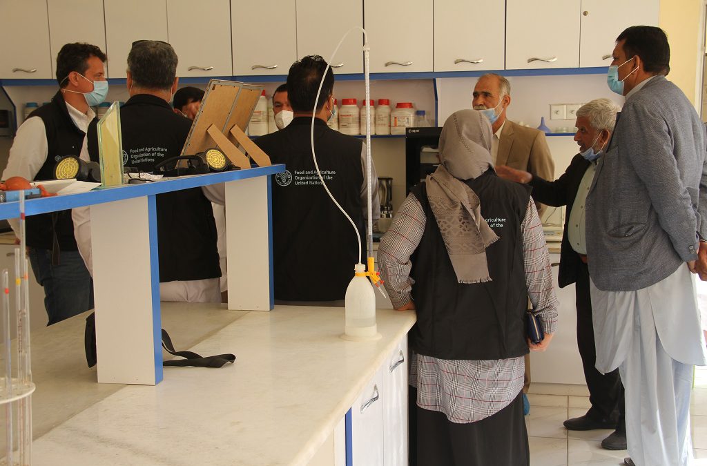 Opening Ceremony of Laboratory