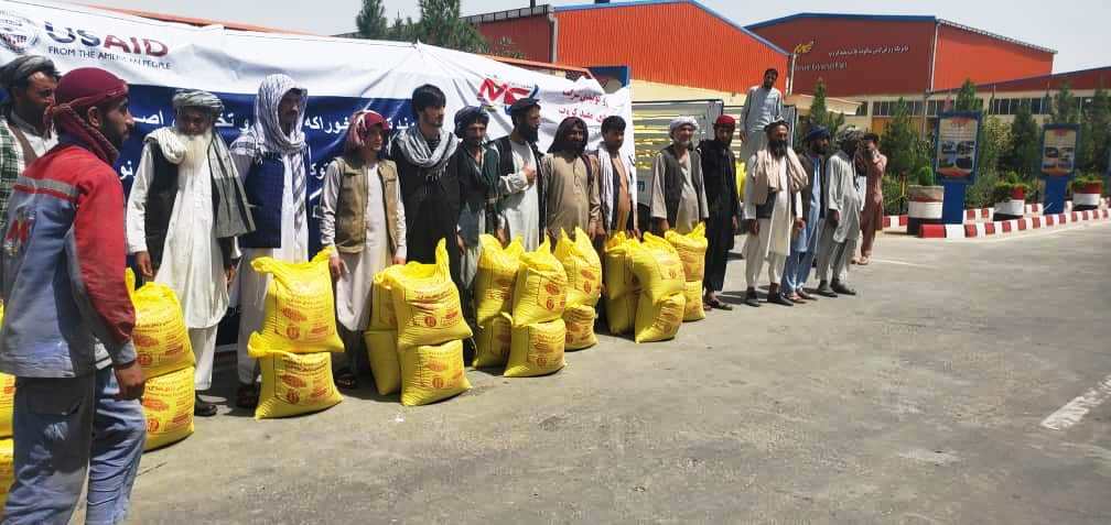 Promoting and distributing 50 MTS