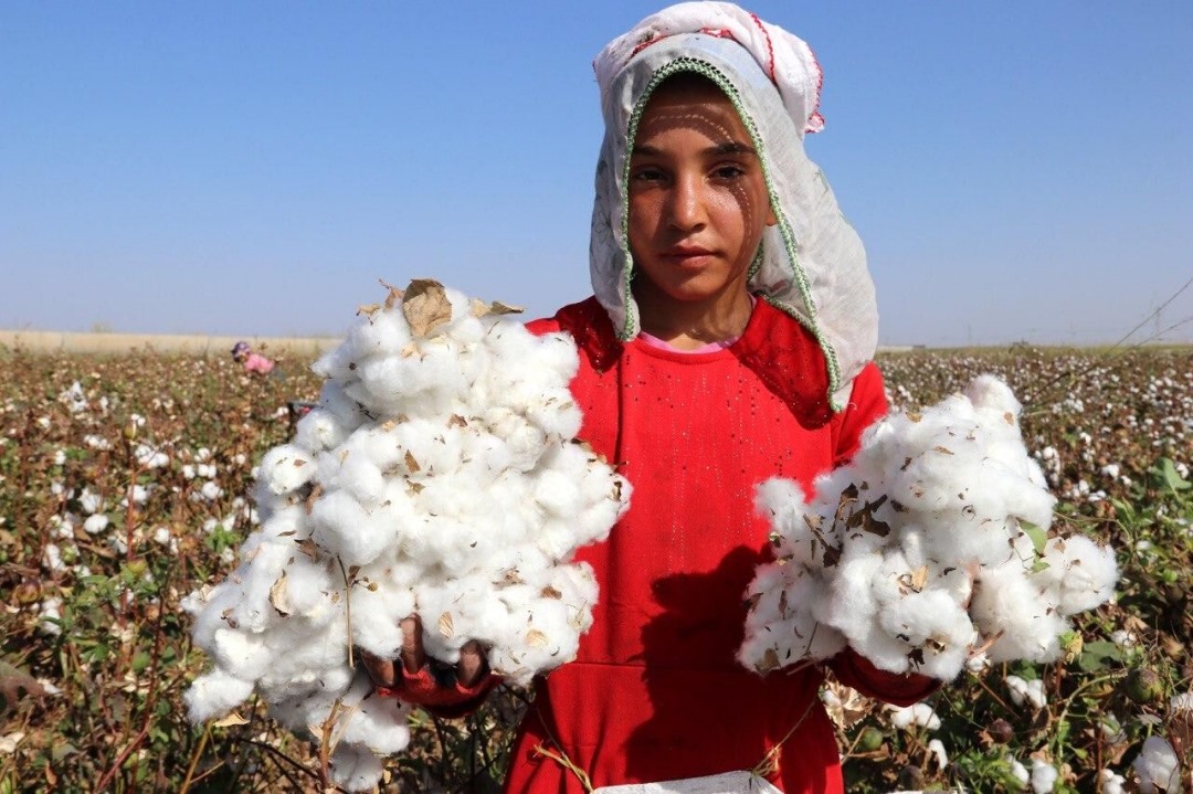 WhatsApp Image 2025-11-08 at 10.08.19 AM (2)